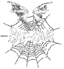 Bat-Cave Productions – Gothic Post-Punk Label & Mailorder