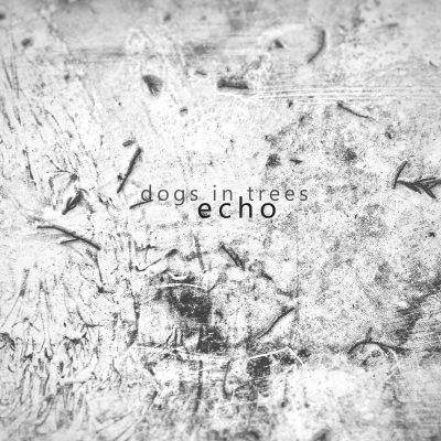 Dogs In Trees - Echo (CD)
