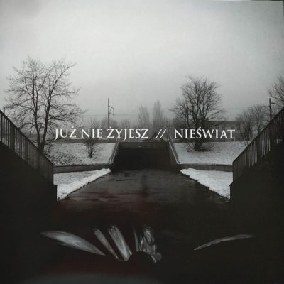 Już Nie Żyjesz - Nieświat (LP)