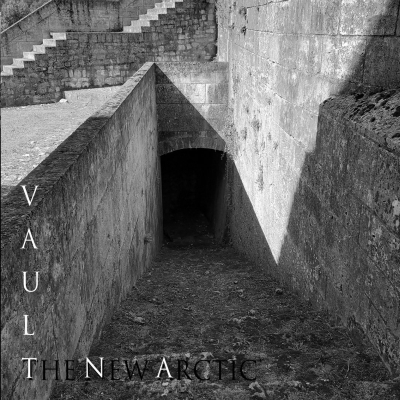 The New Arctic - Vault (CD)